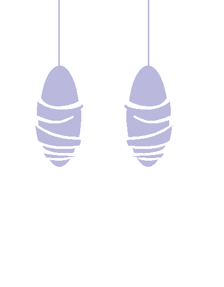 Cocon Kimia